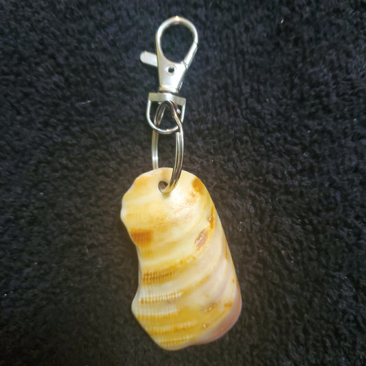 Sea Shell Keychain