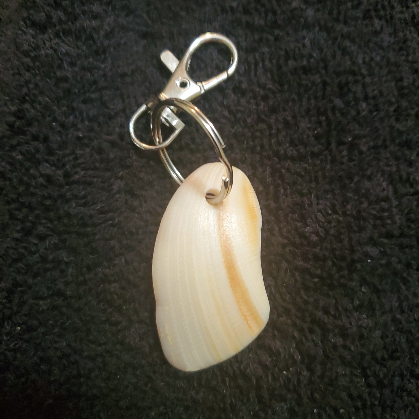 Sea Shell Keychain